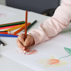 Primo 502MAT36E crayon de couleur Multicolore 36 pièce(s)
