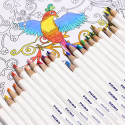 Primo 523MINAB24 crayon de couleur Multicolore 24 pièce(s)
