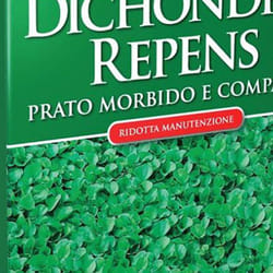 Dichondra noir des prés g 200