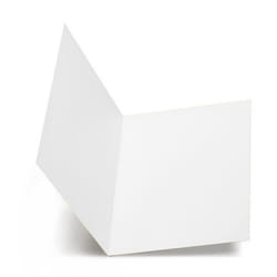 Favini A500664 fichier Blanc A4