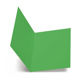 Favini A50D664 fichier Vert A4