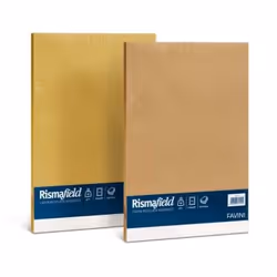 Favini A68X104, Rectangle, Jaune, 210 mm, 297 mm, 100 feuilles