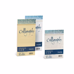 Favini Pergamena Calligraphy, Blanc, 90 g/m², Forest Stewardship Council (FSC), 110 mm, 220 mm, 25 pièce(s)