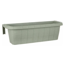 Jardinière - rondine paglia - Vert - l 60 x l 20 x h 18,5 cm - Livraison gratuite