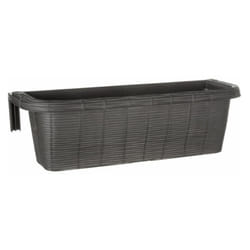 Jardinière - rondine paglia - Anthracite - l 60 x l 20 x h 18,5 cm - Livraison gratuite