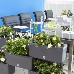 Facilitez votre jardinage avec ce kit de cinq jardinières de 59 cm de long connectables entre elles, qui vous permettent de c ...