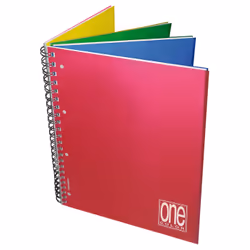 Blasetti One Color, Monochromatique, Multicolore, A4+, 124 feuilles, 80 g/m², Papier quadrillé