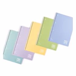 Blasetti One Color, Monochromatique, Multicolore, A5, 81 feuilles, 80 g/m², Couverture rigide