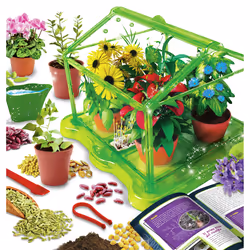 Lisciani 84258 coffret de sciences pour enfant