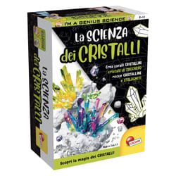 Liscianigiochi 100217 coffret de sciences pour enfant
