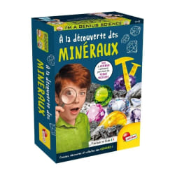 Découverte des minéraux - Kit Scientifique - I'M A GENIUS POCKET - Bloc a creuser