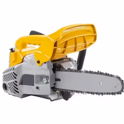 Description générale La PR 25 (10') est une tronçonneuse d'élagage légère et performante, parfaite pour l'élagage des arbres  ...