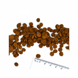 Monge 8009470011952 croquette pour chat 1,5 kg Adulte Canard - Vue supplémentaire 2