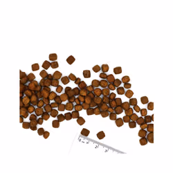 Monge 8009470081511 croquette pour chat 1,5 kg Adulte - Vue supplémentaire 2