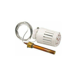 Giacomini - Tête thermostatique avec capteur à distance Bulbe liquide R462LX R462LX021