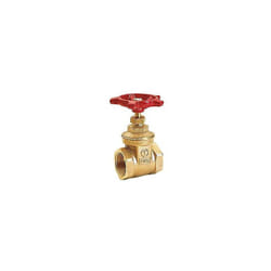 Giacomini vanne à manchon R55Y004 3/4", modèle lourd, laiton