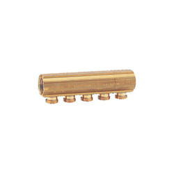Giacomini - Collecteur 10 s R580 1 M16 R580Y070