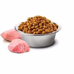 Farmina Pet Food 8010276033635 Alimentation sèche pour chiens 2,5 g Adulte Poulet