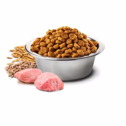 Farmina Pet Food N&D Ancestral Grain Canine 15 kg Adulte Poulet