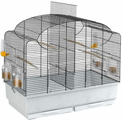 Ferplast - canto Cage pour canaris avec séparation intérieure. Variante canto - Misure: 71 x 38 x h 60.5 cm -