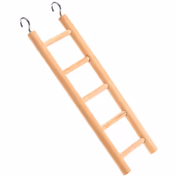 Cette échelle en bois, idéale pour les petits perroquets, les perruches et les cockatiels, est l’objet idéal pour garder vos ...
