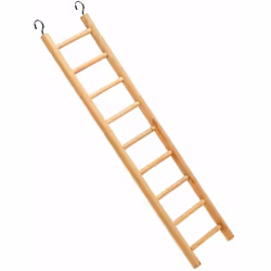 Cette échelle en bois, idéale pour les petits perroquets, les perruches et les cockatiels, est l’objet idéal pour garder vos ...