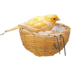 Nid en osier pour canaris - Animal Valley - 11x6cm - Marron - Petit