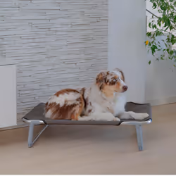 Ferplast Dream Hammock pet bed