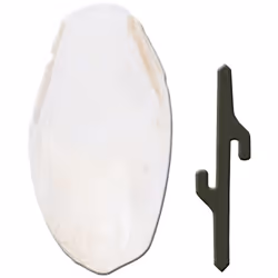 FPI 4330 de Ferplast est un os de seiche particulièrement riche en fer, en calcium et en sels minéraux. En effet, cet os n’es ...