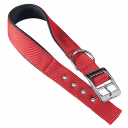 Ferplast Daytona C, Chien, Collier standard, Rouge, Nylon, Monochromatique, 20 mm