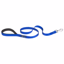 Ferplast Daytona G, Chien, Laisse standard, Bleu, Ruban, Monochromatique, Nylon