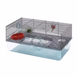 La cage Ferplast Favola est idéale pour les hamsters et les souris. Dotée d'un grand plateau en plastique transparent et d'un ...