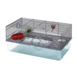 Ferplast - Cage favola - 60 x 36.5 x h 30 cm - Hauteur de bac élevé