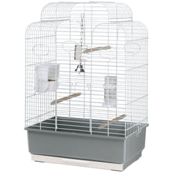 Ferplast - gala Cage à Oiseaux gala : Grande cage pour oiseaux, perroquets, perruches. Accessoires inclus.. Variante gala - Misure: 50 x 30 x h 75.5