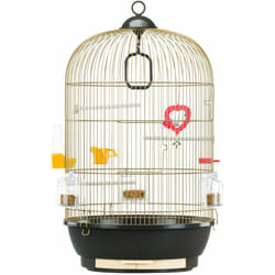 Ferplast - diva Cage à Oiseaux diva : Design italien, accessoires inclus. Offrez à vos oiseaux le luxe et la sécurité.. Variante diva - Misure: ø 40