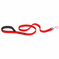 Ferplast Daytona G, Chien, Laisse standard, Rouge, Ruban, Monochromatique, Nylon