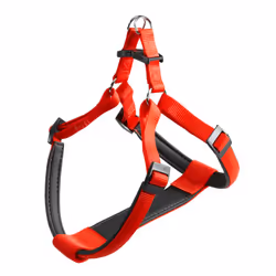 Ferplast Daytona P, Chien, Harnais abdominal, S, Rouge, Nylon, Monochromatique