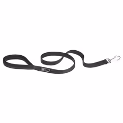Ferplast Daytona GA, Chien, Laisse éducative, Noir, Ruban, Monochromatique, Nylon