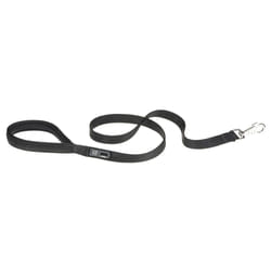 Ferplast Daytona GA 2 m Noir Nylon Chien Laisse éducative