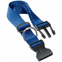 Ferplast - club c Collier en nylon pour chiens, en différentes mesures et couleurs. Variante C40/70 - Mesures: a: 45-70 cm b: 40 mm - Bleu - Bleu