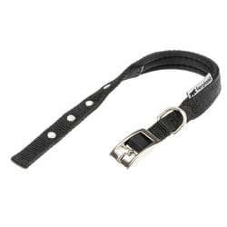 Ferplast Daytona C Noir Nylon Chien Collier standard