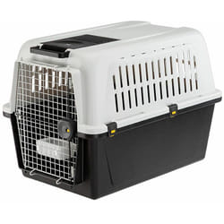 Ferplast - atlas 50-60 Panier de transport pour chiens de taille moyenne à grande. Taille 50 ou 60.. Variante atlas 50 - Misure: 55.5 x 81 x h 59.5