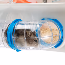 Ferplast Combi 1 Hamster Transparent, Blanc - Vue supplémentaire 7