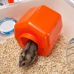 Ferplast Combi 1 Hamster Transparent, Blanc - Vue supplémentaire 8