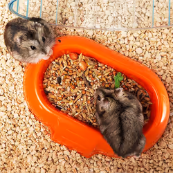 Ferplast Combi 1 Hamster Transparent, Blanc - Vue supplémentaire 9
