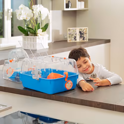 Ferplast Combi 2 Hamster Bleu, Transparent
