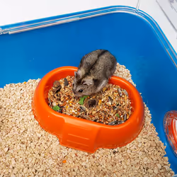 Ferplast Combi 2 Hamster Bleu, Transparent - Vue supplémentaire 6
