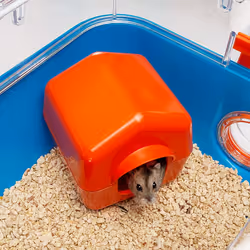 Ferplast Combi 2 Hamster Bleu, Transparent - Vue supplémentaire 7