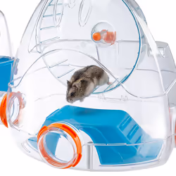 Ferplast Combi 2 Hamster Bleu, Transparent - Vue supplémentaire 9