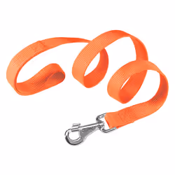 Ferplast Club G, Chien, Laisse standard, Orange, Ruban, Monochromatique, Nylon